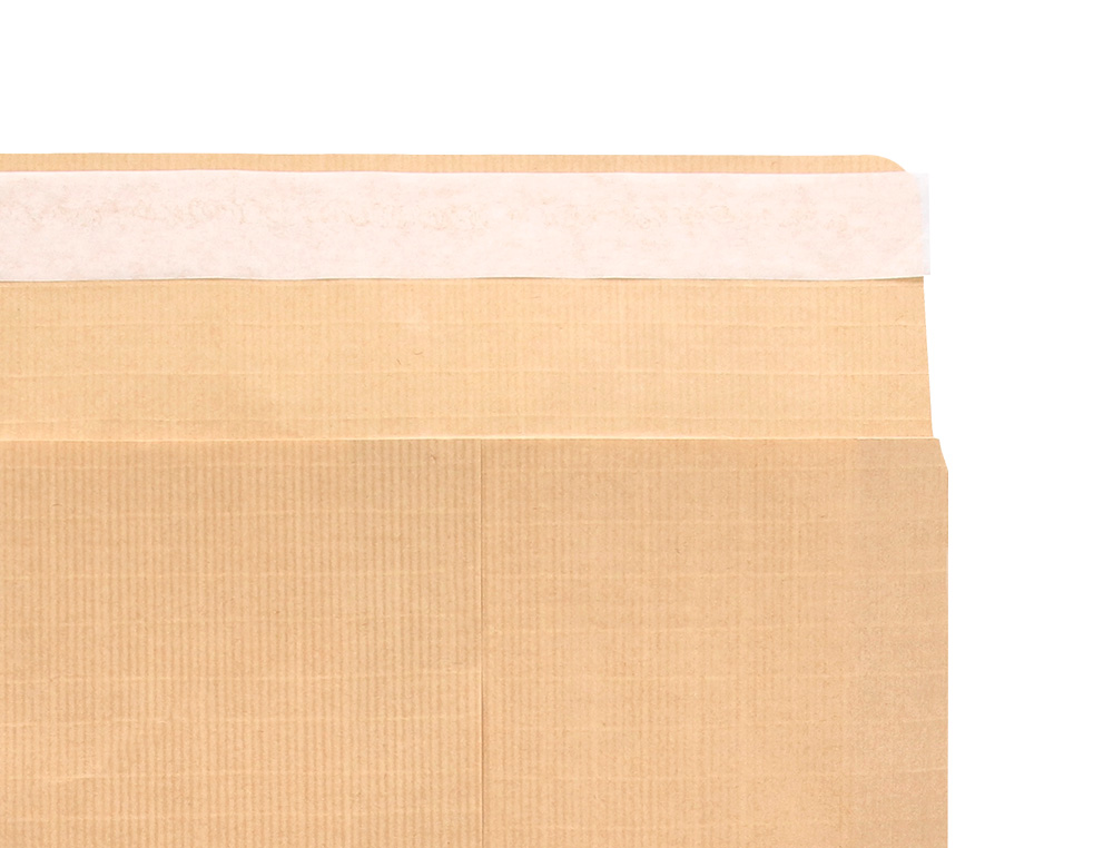 SOBRE LIDERPAPEL BOLSA N.11 KRAFT FOLIO PROLONGADO 250X353MM TIRA DE SILICONA CAJA DE 250 UNIDADES