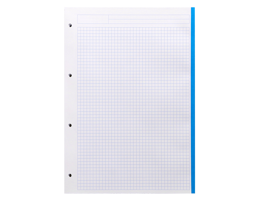 RECAMBIO LIDERPAPEL A4 100 HOJAS 100GR CUADRO 5MM 4 TALADROS BANDAS DE 5 COLORES
