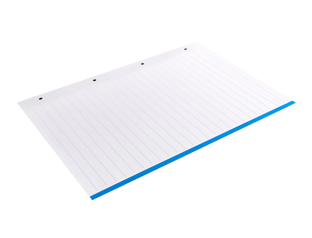 RECAMBIO LIDERPAPEL A4 100 HOJAS 100GR RAYADO HORIZONTAL 4 TALADROS BANDAS DE 5 COLORES