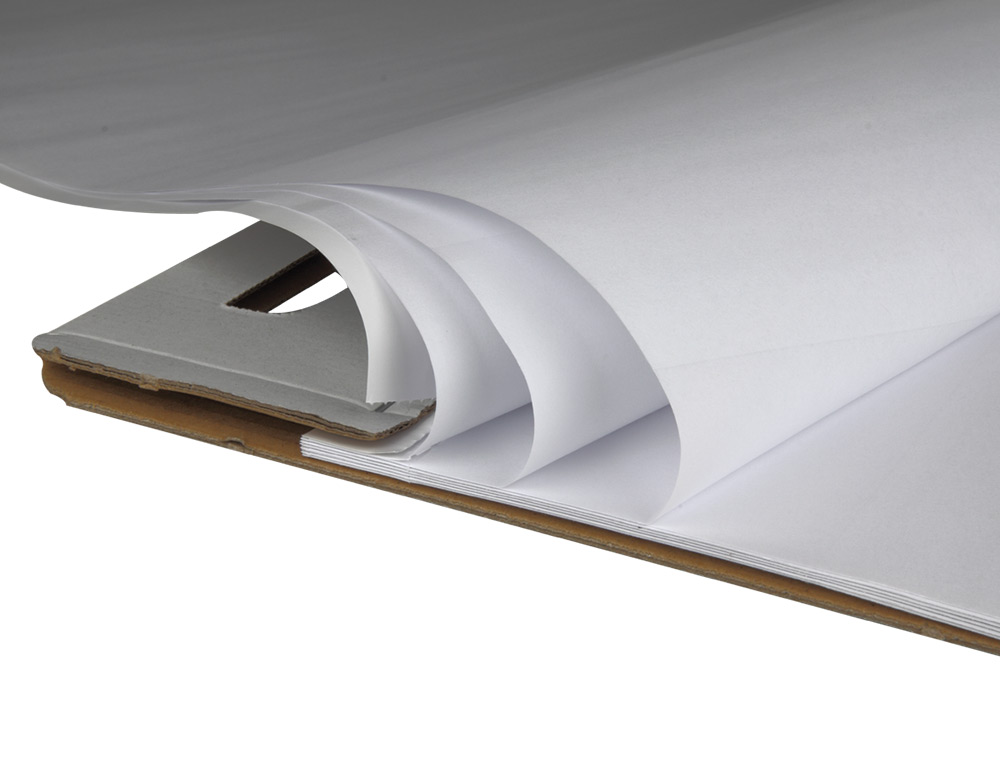 BLOC CONGRESO LIDERPAPEL LISO 630X840 MM 50 HOJAS 80G/M2